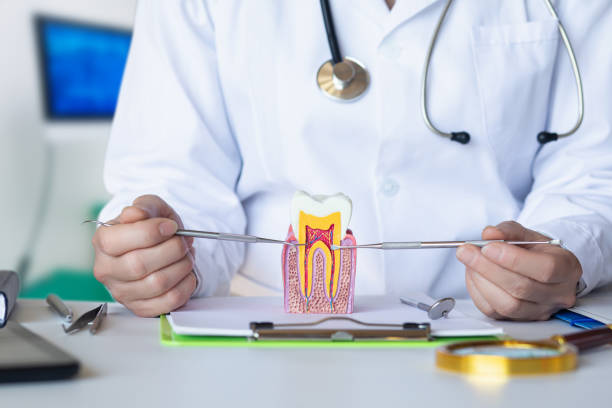 Best Emergency Tooth Extraction  in Amboy, IL